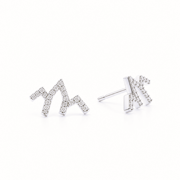 Heartbeat Collection Earring